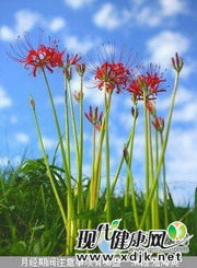 月经期间注意事项有哪些