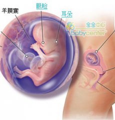 �ļ����в���̥�����Է���