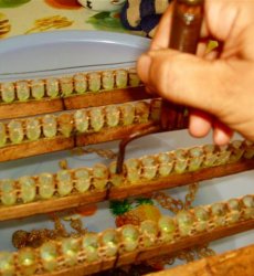 ʲô�������ʲ������÷�����