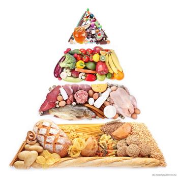 ʲô������ʳ�ṹ���ʺ������й��˵�����