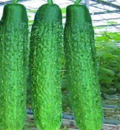 Ԥ����������Ч���Ĺ���