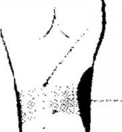 �û��ŵ�3������������ʹ