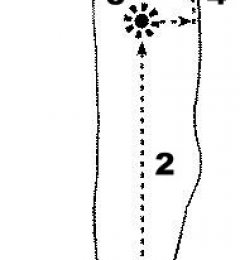 ���������������֮��������