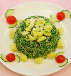 ��ʳ��ѿζ����ǿ��