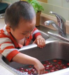 ϴ��ݮ����Ҫ����  ̫�����ǳ����鷳