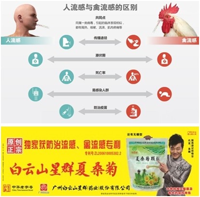 精选高效抗病毒桑叶,星群夏桑菊防治禽流感有专利