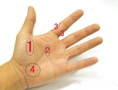 ��ҽ����������������������