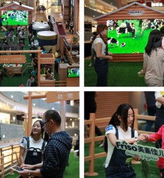 �뱦��һ���׽������Լ�����