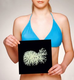 �ٲ��ӿ��� ���ƴӸ�ʼ