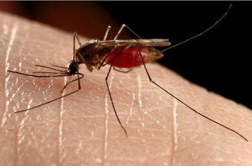 ˣŴҵһձҲˣǾ֮࣬꼾ó׳ڴˮдܡóĶҧʹߣһᴫҪ볹ó棬¡ó涣ҧ⣬ó涣ҧô?Щһܰﵽ!