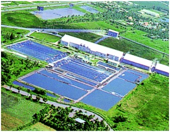 ͨڷDICֵǵ֬ԵĸӪʳƷﵽԼ֢״Ŀ