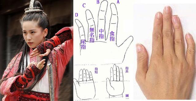 ��ָ��״�����Ը�����