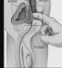 �ҵ�����G�� �����������