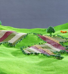 �����й�����������漴���������� ������һ�ݺ�����