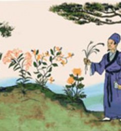 ����ʳ���塱��һ�ε߸���������ʷ�Ĵ��У�