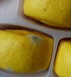 ù��ʳ��Ϊ����°�