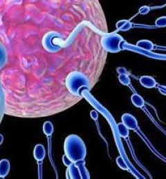 ���ӳɻ��ʵ� �����ȳ�ҩǿ