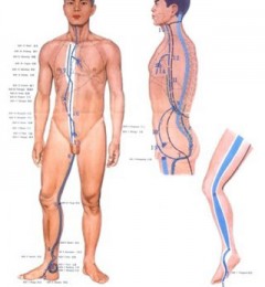 ��Щҩ���Ӱ�����˵��Թ���