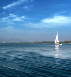 ������˥��֮����������ʿ�����������ط�30�ꡱ