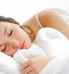 ˯�������� �³�������