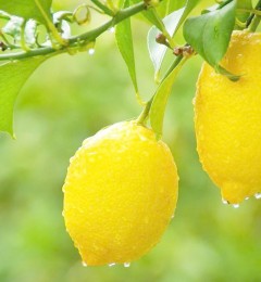 һ������ˮ �����Ŀ�����һ����