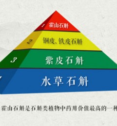 ΪʲôйʯʦƼ7Sɽʯ