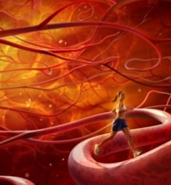 Ѫ�������ѵ� �˵������ѵ��˾�ͷ