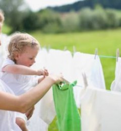 ������ľ������� һ���͹�