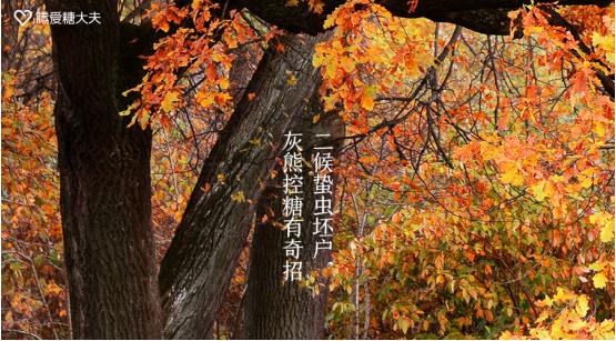 Ǵhttp://tdf.qq.com/Ѫ