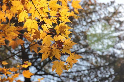 肌肤换季大作战,初秋抗燥从头开始
