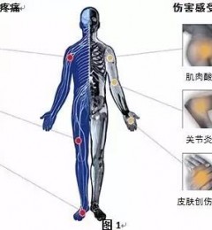 �񾭲�������ʹ��ν�����Ч����