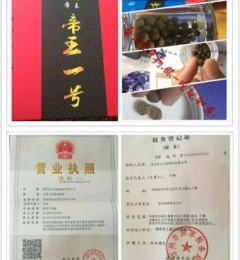 �õ��������������������������һ��������
