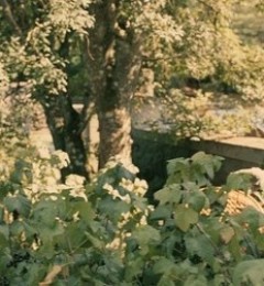 ����ҩʹ�ò�������������֢