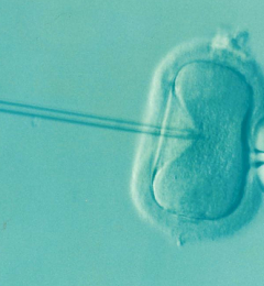 �˹����������������Ը����Ŵ����׵���������