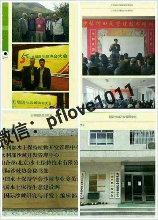 ʥʲôĿʥǷ氲ȫɿ?