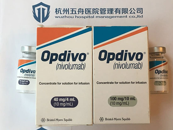 ˰װOpdivo