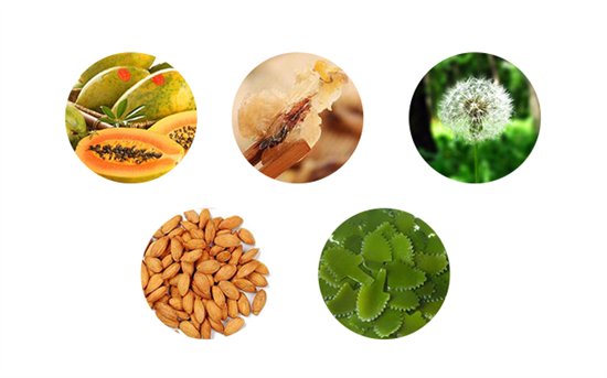 天然成份,首选圣品——四普牌御水华木瓜雪蛤片