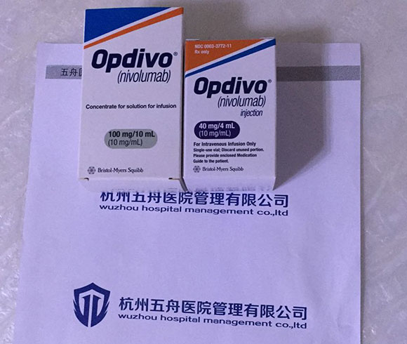 纳武单抗对肺癌有效率