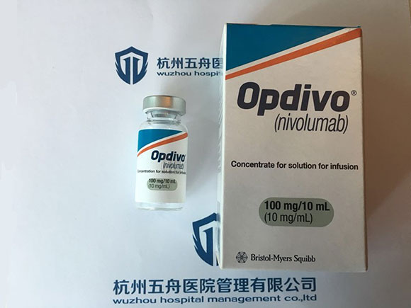 纳武单抗对肺癌有效率