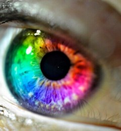 美国科学家研究发现眼睛颜色决定个人能力