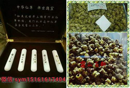 【如何区分霍山石斛正不正宗?有什么特别的方法吗?】