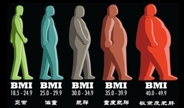 BMI数值超标