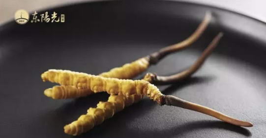 东阳光鲜草:鲜的冬虫夏草:肿瘤君请离大家都远一点