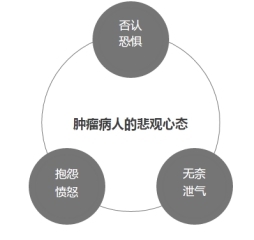 东阳光鲜草:鲜的冬虫夏草