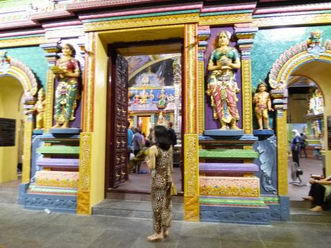 一个肺癌患者使用PD-1的旅游经历