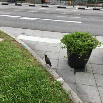 一个肺癌患者使用PD-1的旅游经历