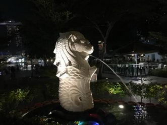 一个肺癌患者使用PD-1的旅游经历