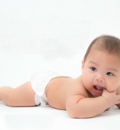 BB�޹˱�Ѫ���� �����¡��֢