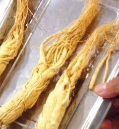 ��ҩʮ����Ѫ��˥���ط�