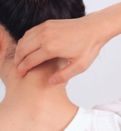 ��׵���� �ܾ�����������